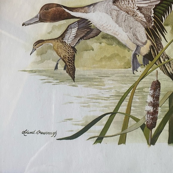 Vintage LELAND BREWSAUGH SIGNED PRINT FRAMED birds pair - Picture 2 of 4